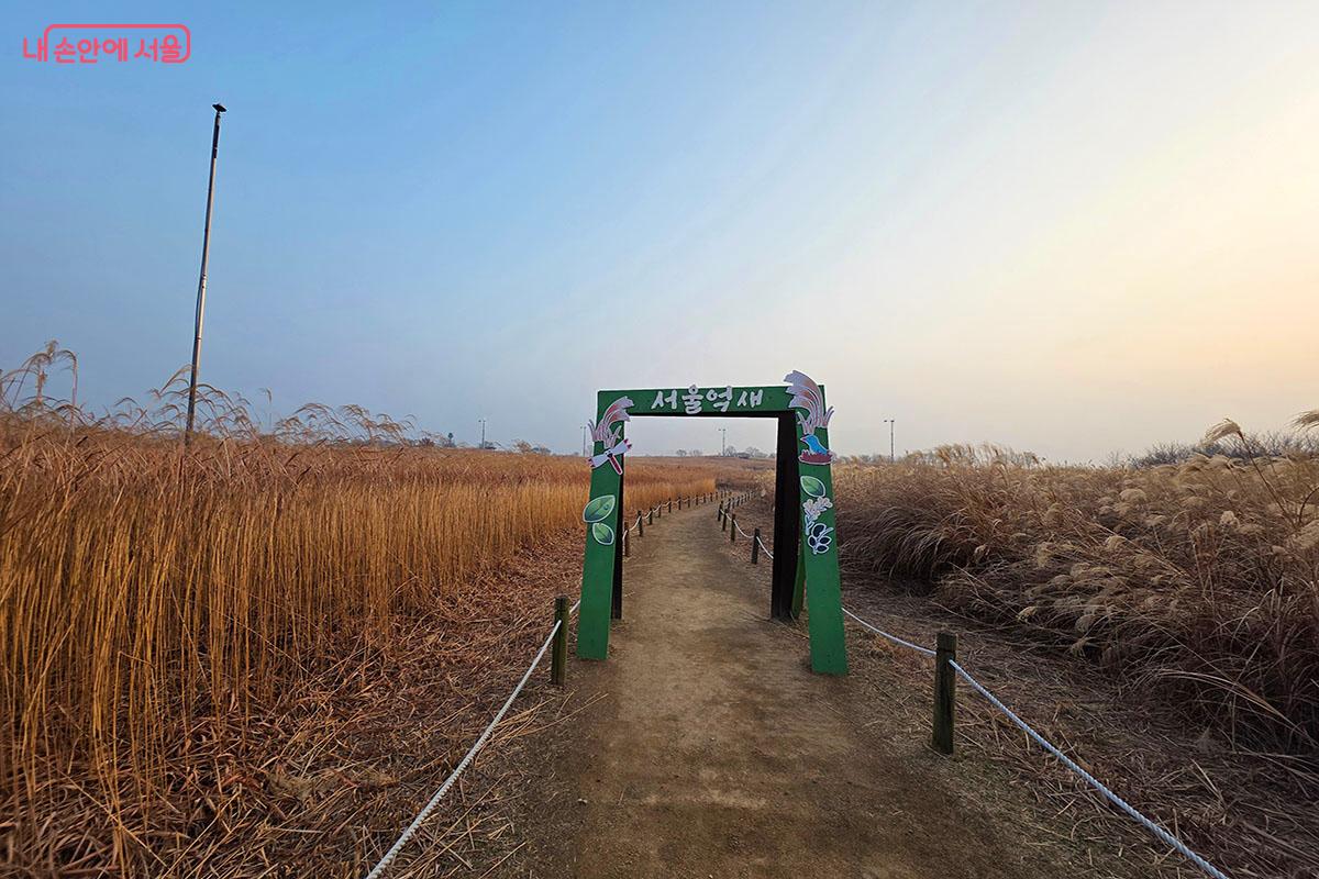 억새문 포토존은 특별한 인생 사진을 남길 수 있는 장소다. &copy;이정민