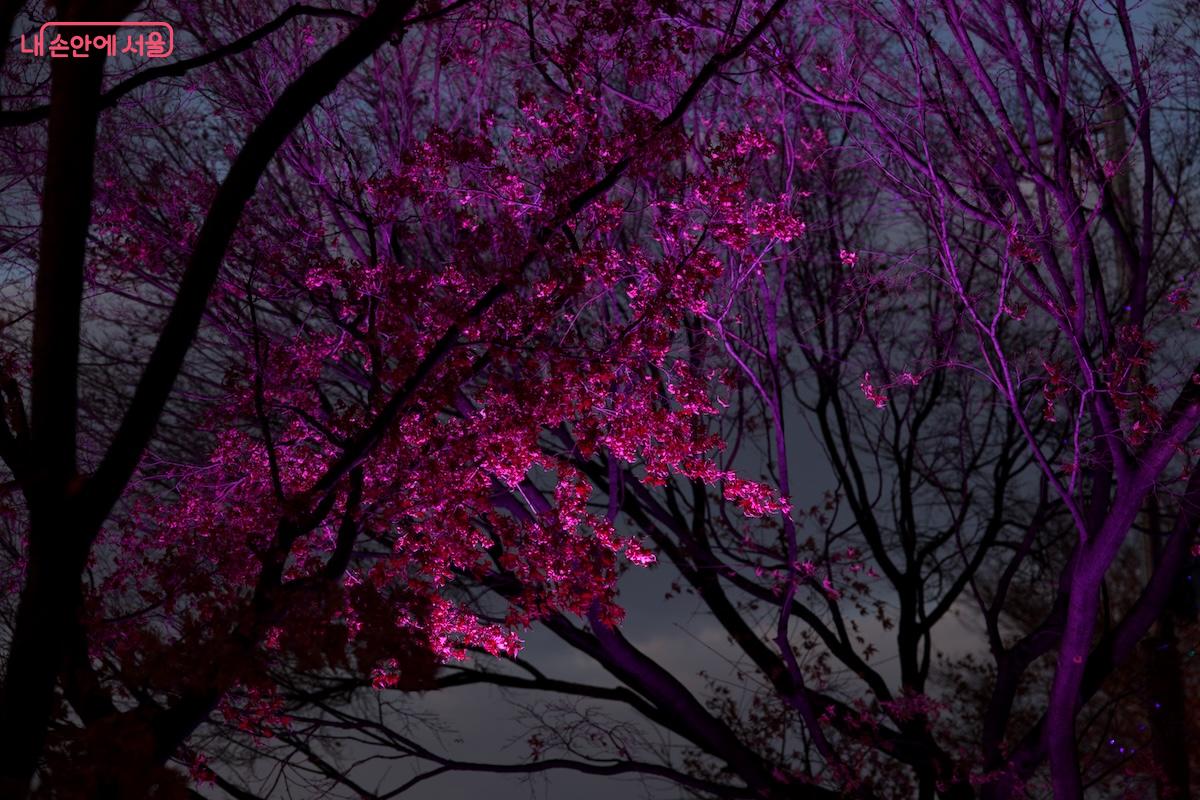 평소 조명이 어두워 시민들의 통행이 많지 않았던 고척교 제방길이 변신했다. &copy;임중빈 