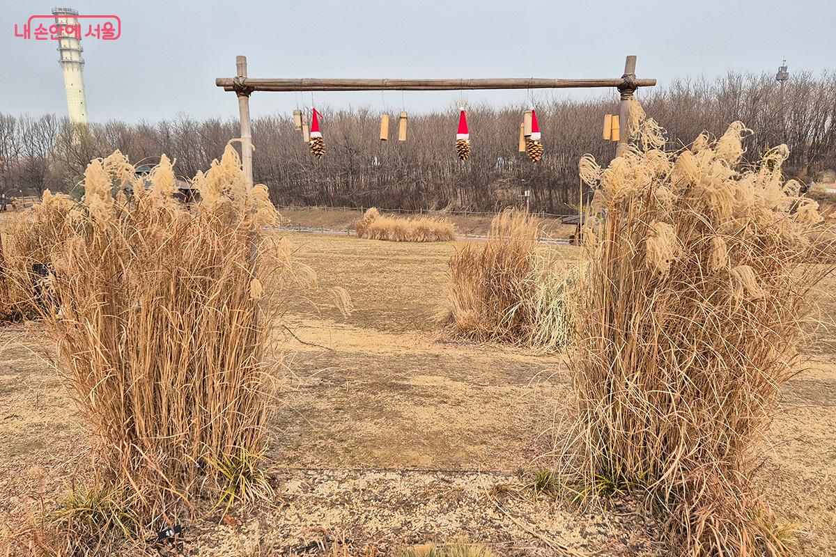 '2023 서울정원박람회 모아정원'에 전시되었던 최윤선 작 '풀은 정원의 매직카펫이다'