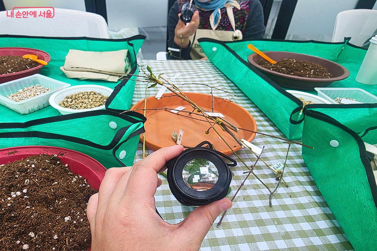 겨울을 버티고 싹을 틔우는 나무를 관찰했다. &copy;이정민