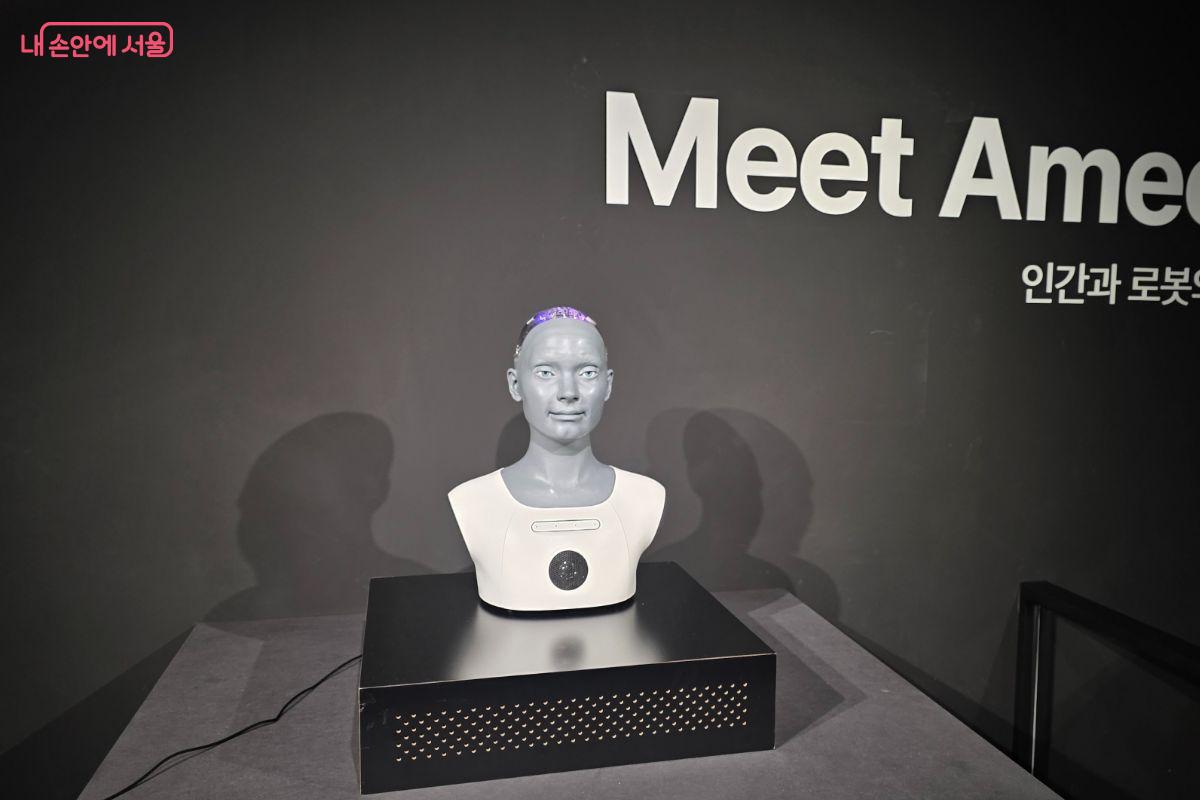 아메카는 사람과 매우 비슷하게 다양한 감정을 나타내는 표정을 지을 수 있다.