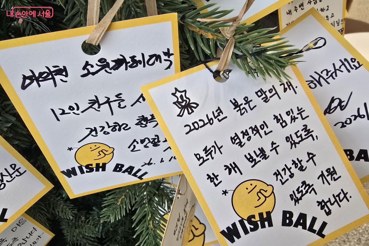 붉은 말의 해 모두가 열정적인 한 해를 보낼 수 있도록. ⓒ조송연