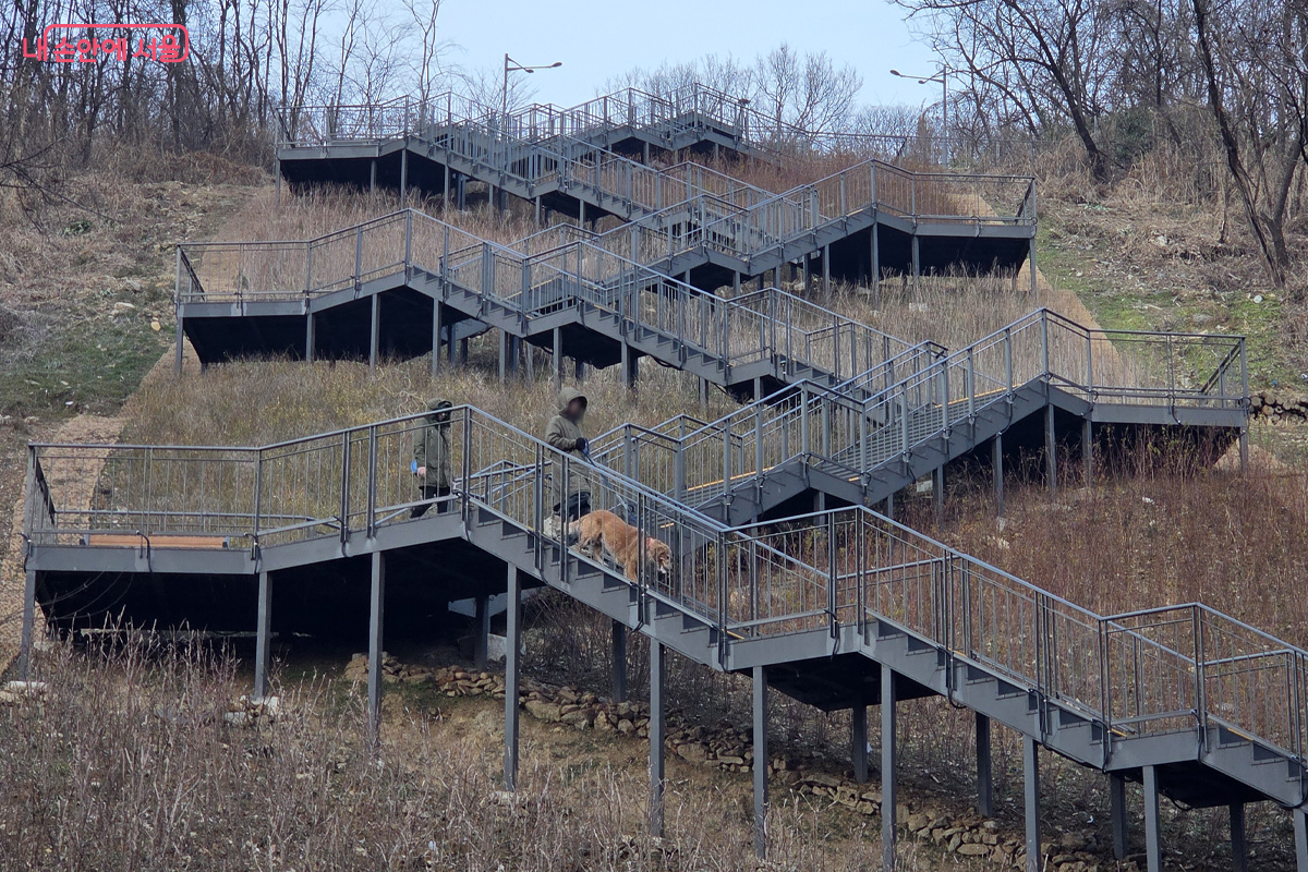 하늘공원 계단을 반려견과 함께 내려오는 가족들의 모습이 정겹다 &copy;장미화