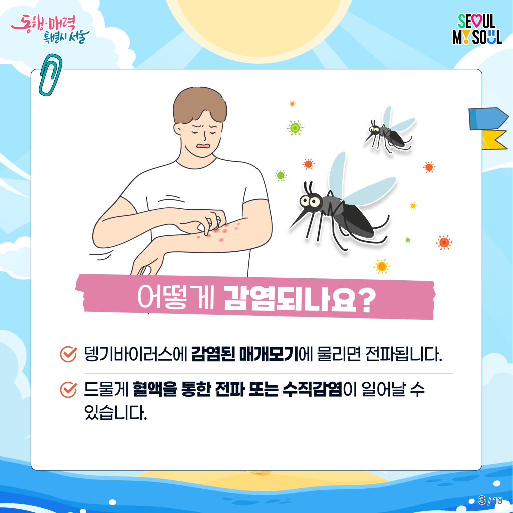어떻게 감염되나요?
-뎅기바이러스에 감염된 매개모기에 물리면 전파됩니다.
-드물게 혈액을 통한 전파 또는 수직감염이 일어날 수 있습니다.