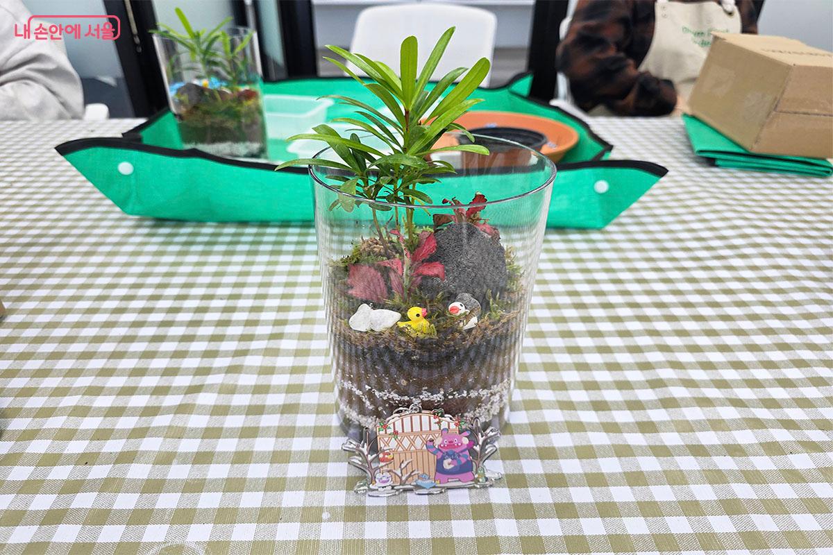 나한송과 레드스타를 이용한 테라리움을 만들고 해치와 소울프렌즈 키링을 받았다. &copy;이정민