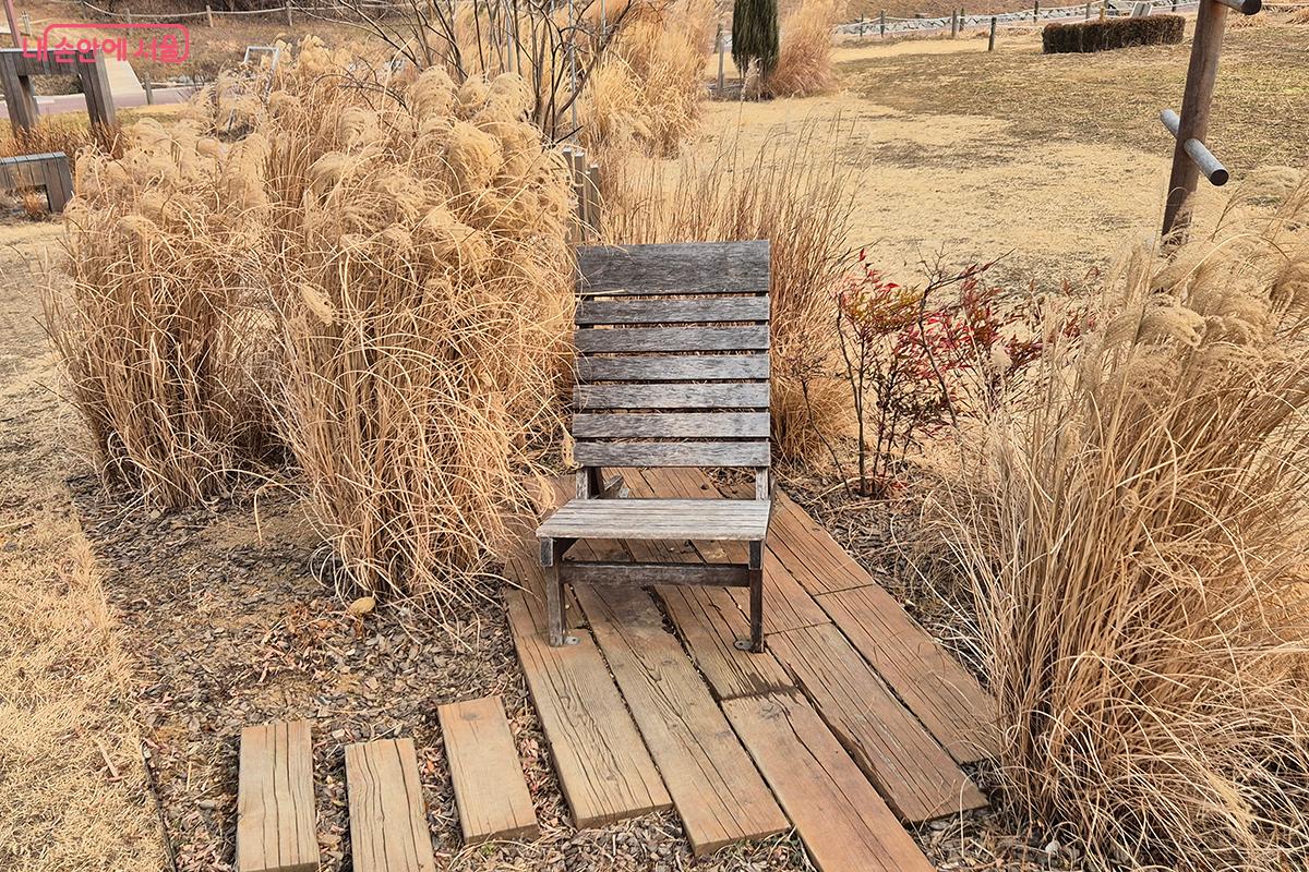 억새 단지 남서측에 위치한 '2023 서울정원박람회 존치정원'