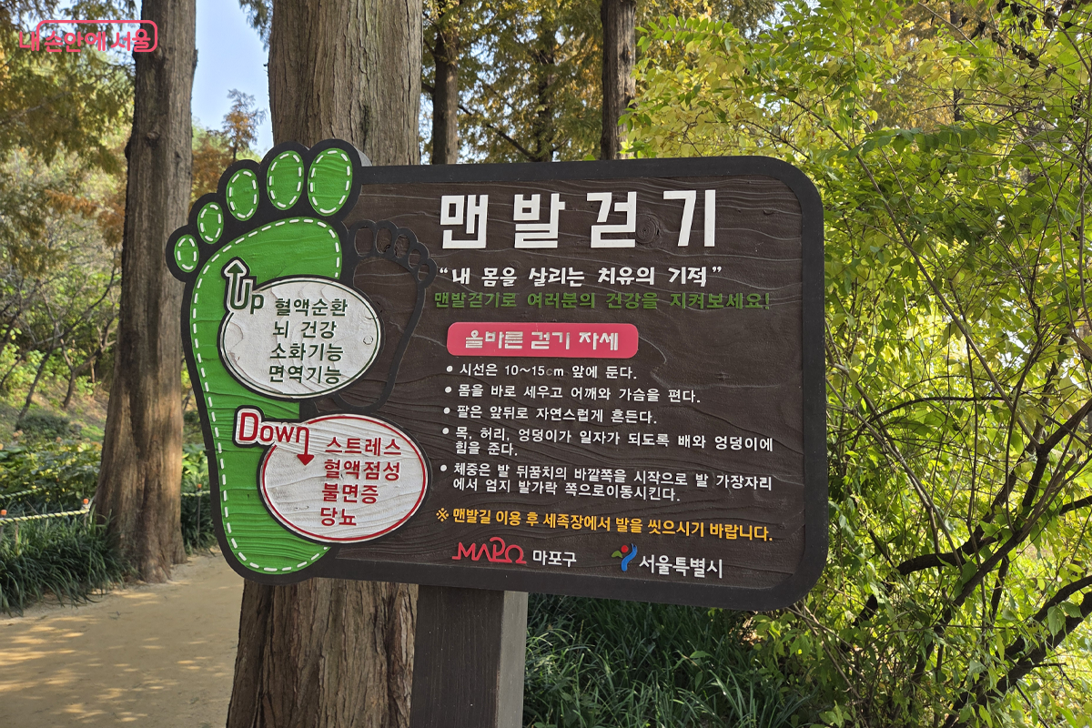 맨발로 걷는 산책로도 만들어 놓았다 &copy;장미화