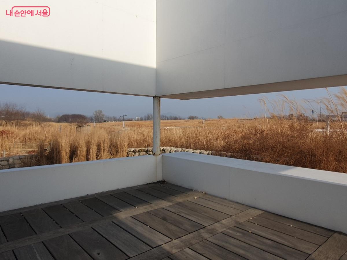 2023 서울정원박람회 작가정원 사이로 일렁이는 금빛 억새 풍경 ©엄윤주