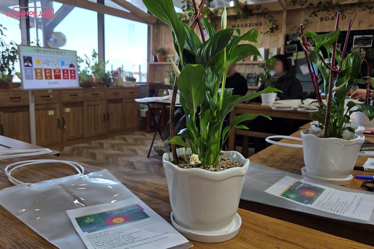 반려식물 관리방법을 확인할 수 있었다. &copy;김미선