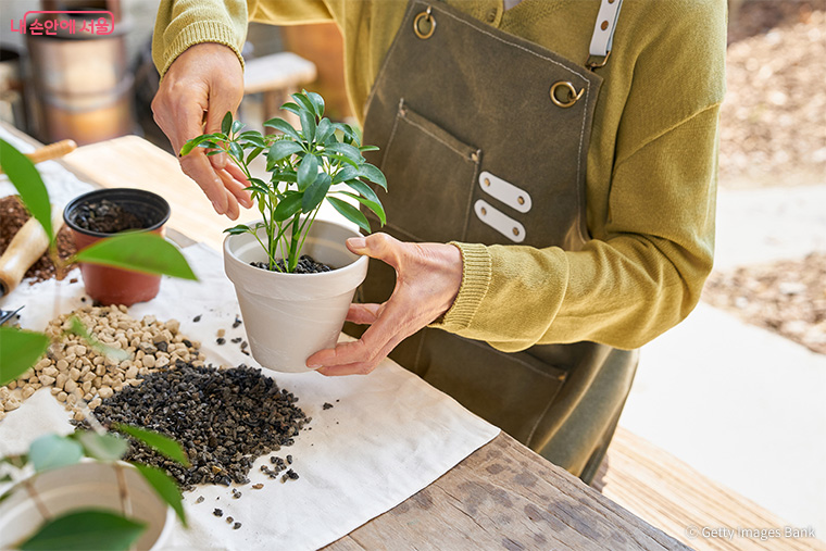서울 정원문화힐링센터에서 봄맞이 가드닝 프로그램 &lsquo;손바닥 정원&rsquo;을 운영한다.
