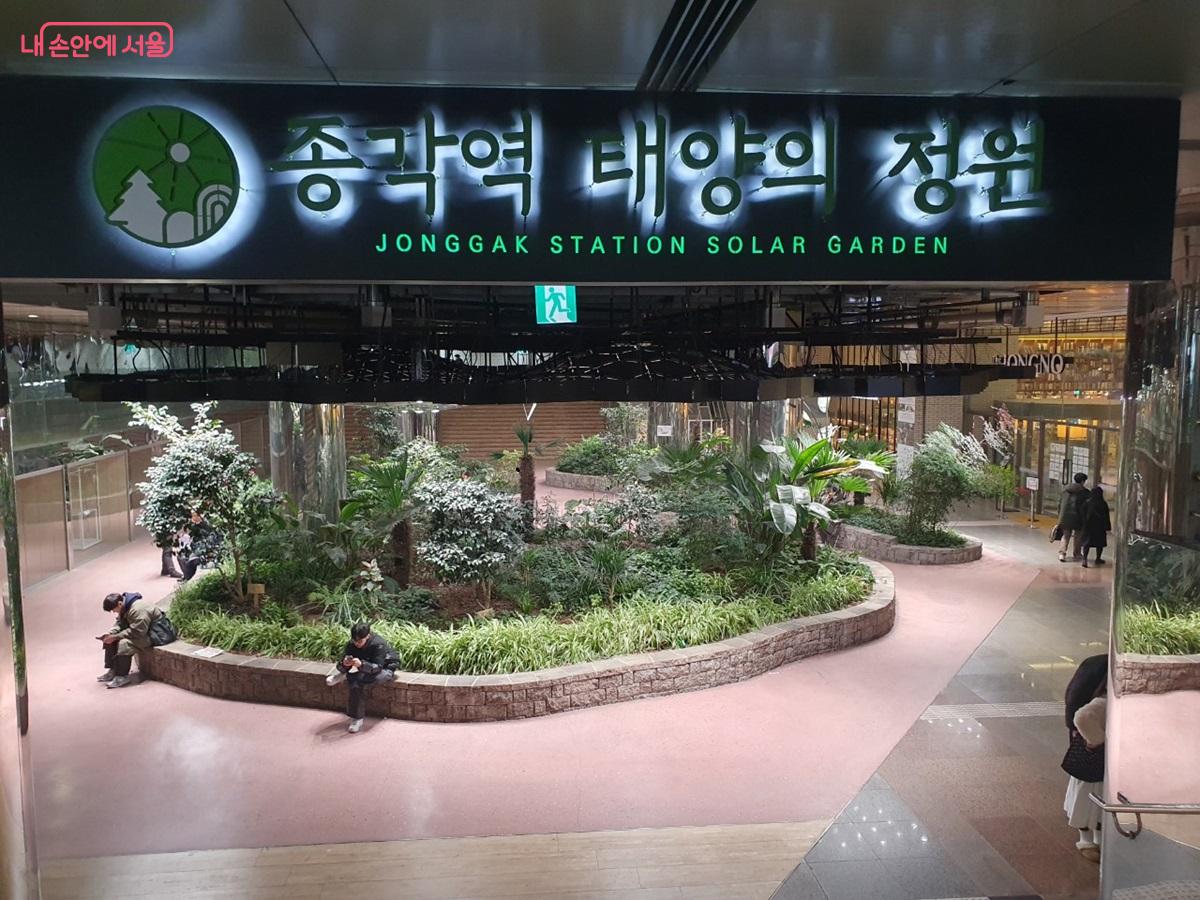 종각역 태양의 정원에는 한겨울 동백꽃과 초록 식물이 가득하다. ©엄윤주