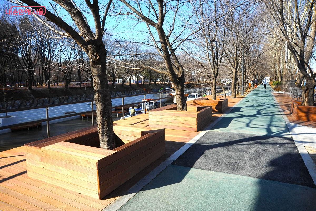 카페 부근 벚나무에 벤치형 플랜터를 설치했다. &copy;조수봉