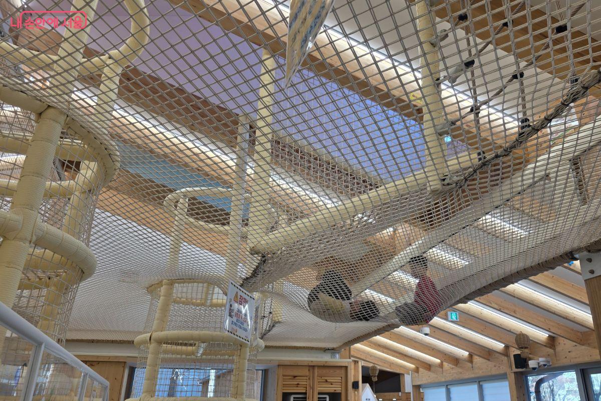 그물 위에서 노는 재미도 느낄 수 있다.