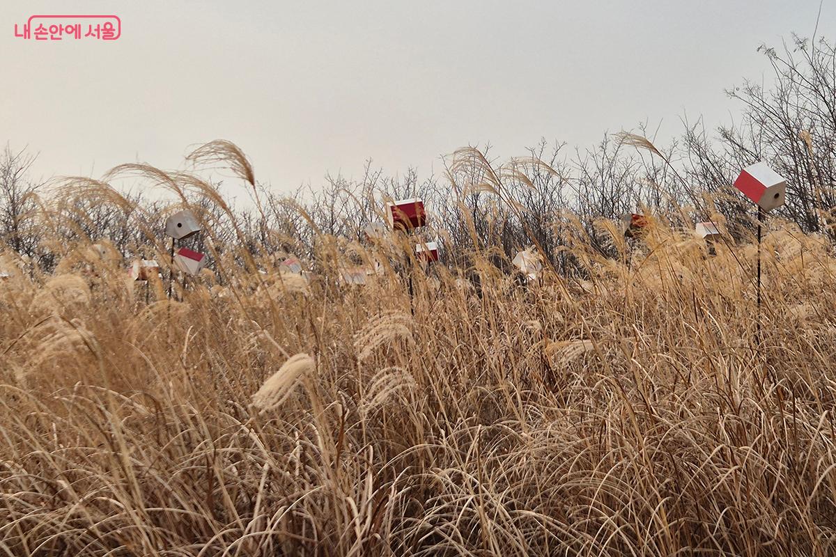 김대성 작가의 설치 미술 작품 '둥지'