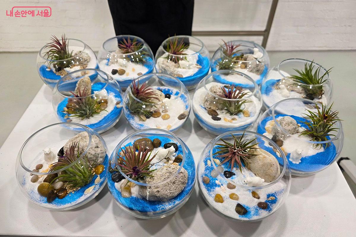 보라매공원에서 테라리움을 만들고 해치와 백호 키링을 받았다. &copy;이정민