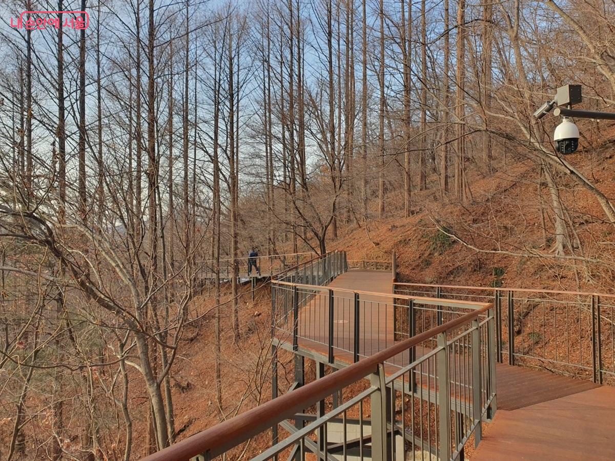 남산도서관 입구에서 남산 체력단련장까지 1.45km의 무장애 데크길, 남산하늘숲길 &copy;김병규