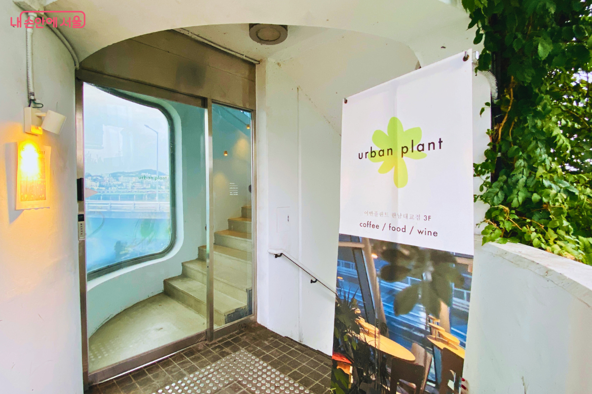 카페로 들어가는 입구의 모습이다. 흰색 벽면에 'urban plant' 로고가 그려진 배너가 서 있고, 유리문을 통해 내부 계단이 보인다. 문 왼쪽에는 따뜻한 전구색 조명이 켜져 있어 아늑한 분위기를 자아낸다. &copy;양정화