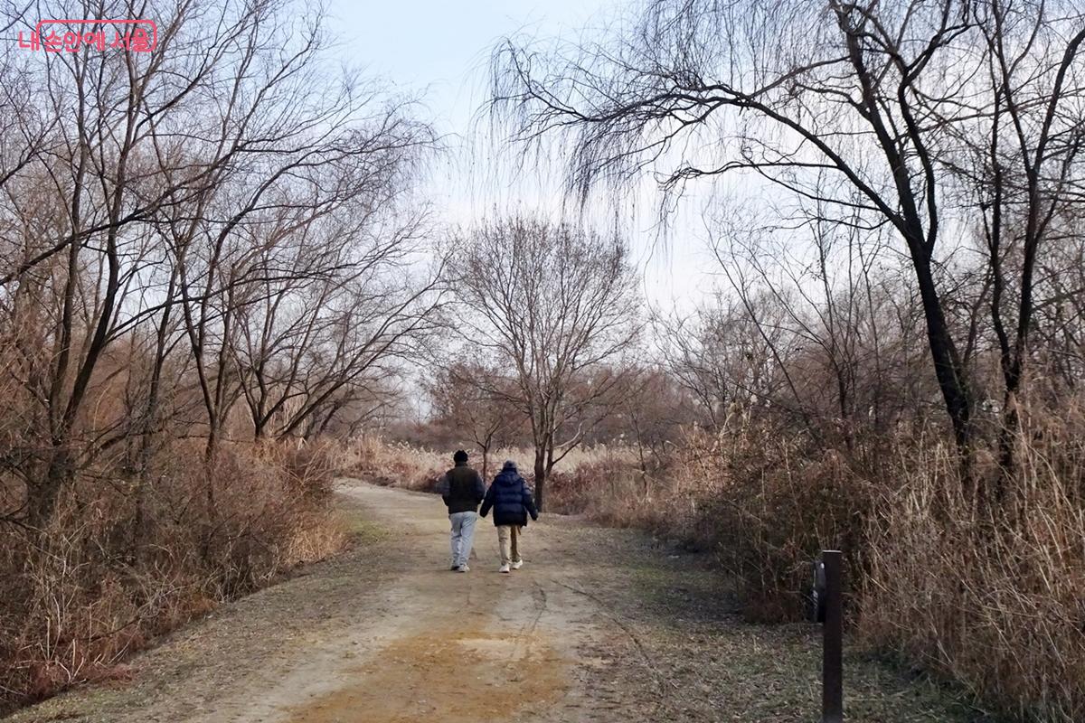 나무와 수풀 우거진 공원 산책로 ⓒ김종성