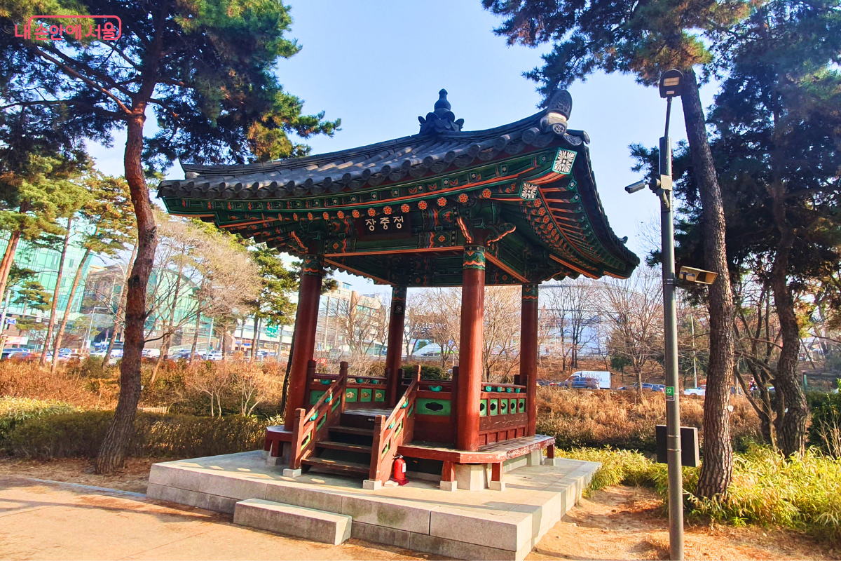 장충단공원 내 울창한 소나무 숲 사이에 자리 잡은 전통 정자 '장충정'의 모습이다. 붉은색 기둥과 화려한 단청으로 장식된 팔각지붕 형태의 정자로, 정면에는 '장충정'이라는 현판이 걸려 있다. 정자 아래쪽에는 화재 대비를 위한 붉은색 소화기가 비치되어 있으며, 주변은 고즈넉한 숲의 분위기를 자아낸다. &copy;양정화