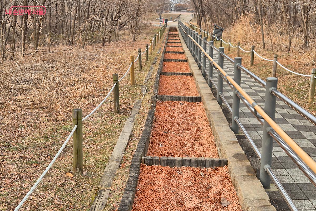 황토볼을 이용해 발바닥의 혈자리를 자극하도록 설계된 '황토볼 지압로'