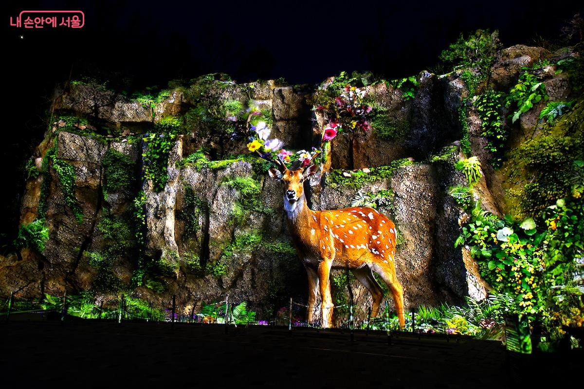 개인적으로 배봉산 미디어아트의 최고 장점은 고화질의 선명한 느낌이 아닐까 한다. &copy;임중빈