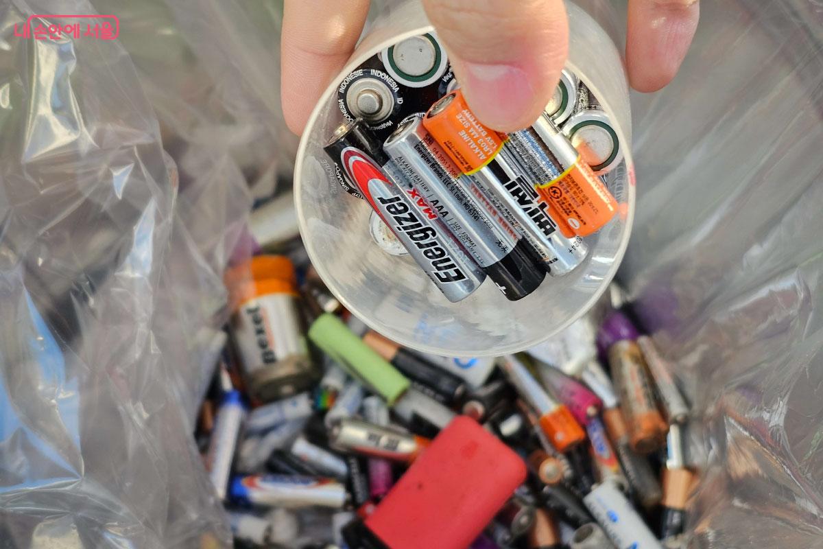 안전하게 배출한 폐건전지들 &copy;홍혜수  