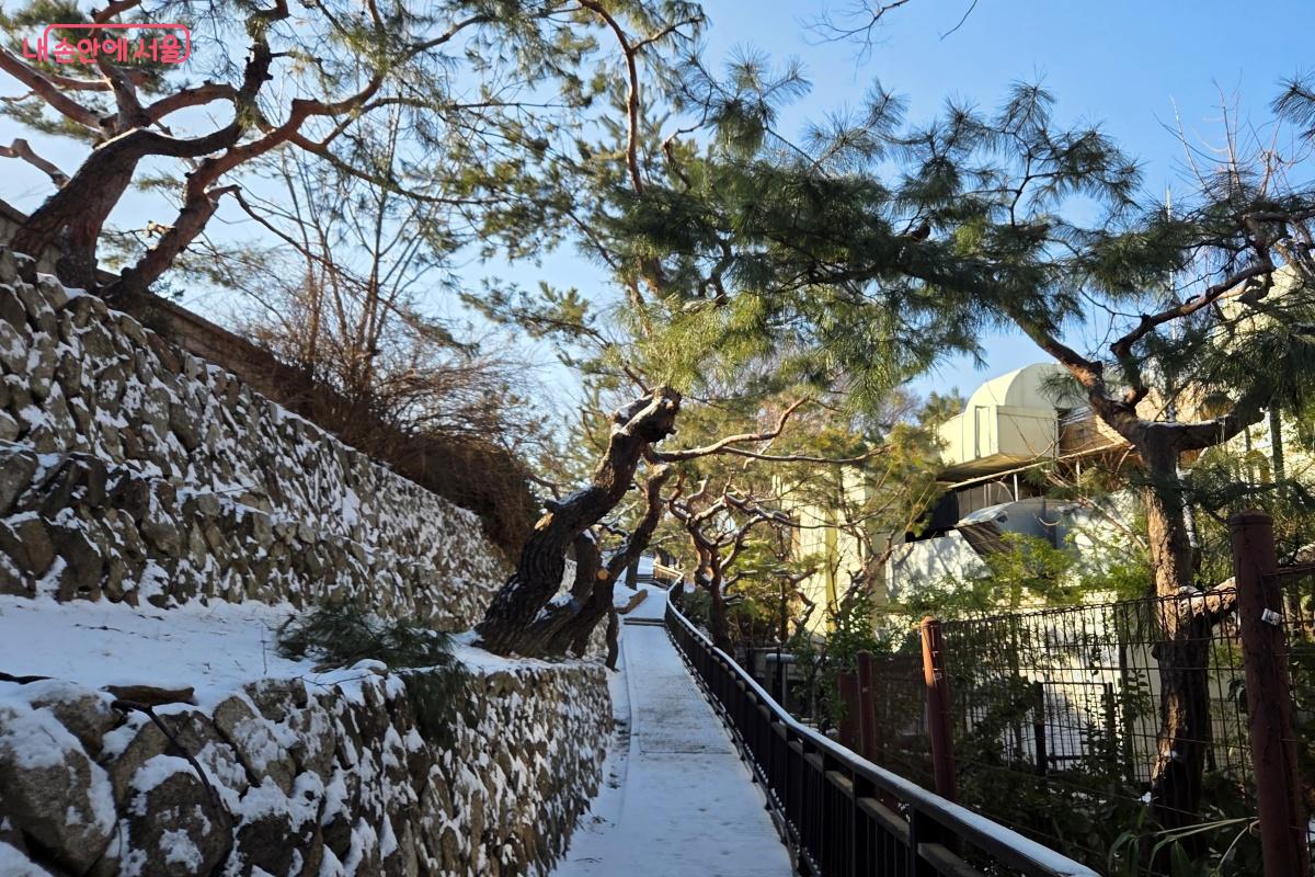 오르막과 내리막길이 적절히 조화를 이뤄 무리 없이 걸을 수 있다. &copy;김미선