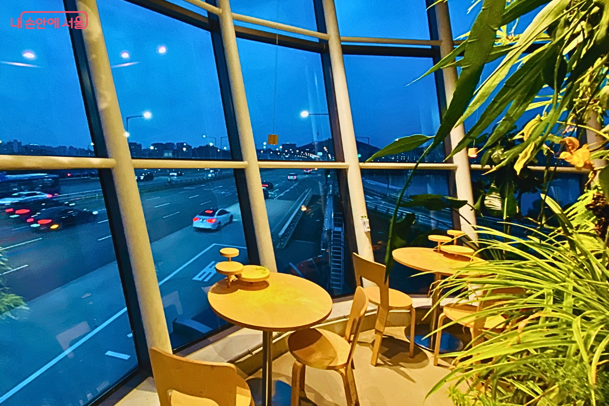 전망 카페 내부에서 바라본 해질녘의 한남대교 풍경이다. 짙은 푸른빛으로 물든 하늘 아래 다리 위를 달리는 자동차들의 전조등과 후미등이 빛나고 있다. 실내에는 따뜻한 질감의 원목 테이블과 의자가 배치되어 있으며, 오른편에는 풍성한 녹색 식물들이 조명을 받아 생동감을 더한다. &copy;양정화