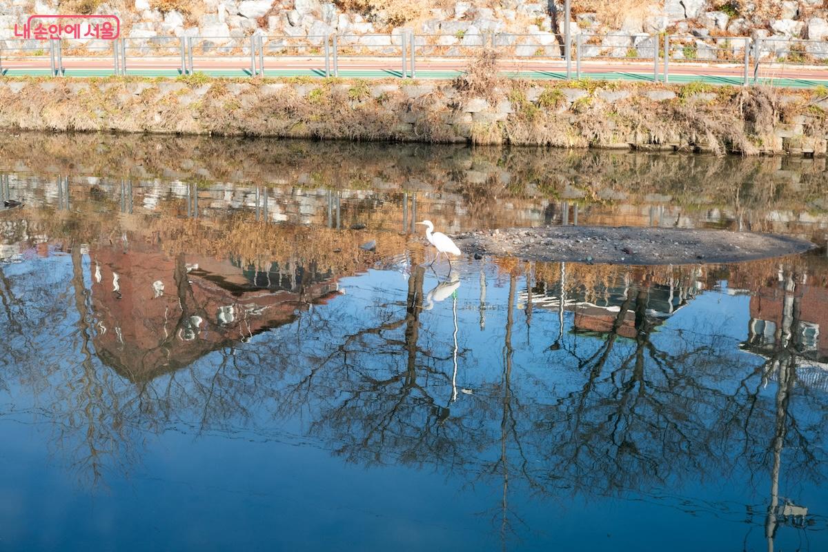 우이령에서 발원한 우이천은 중랑천에 닿는 곳까지 흘러간다. &copy;이진형