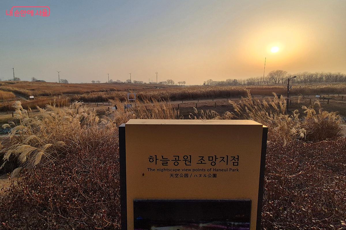 하늘공원의 겨울 억새밭을 한눈에 바라볼 수 있는 '하늘공원 조망지점'