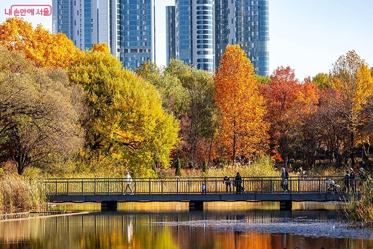 공원별 언급량 1위를 기록한 서울숲
