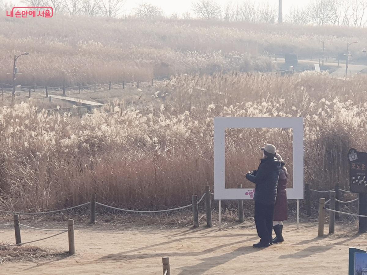 월드컵공원 하늘공원은 가을 억새를 그대로 보존해 겨울은 물론 이른 봄까지 억새를 볼 수 있다. ©엄윤주