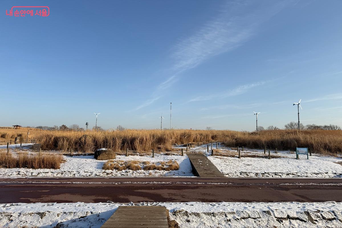 겨울에도 걷기 좋은 하늘공원 ⓒ임수영