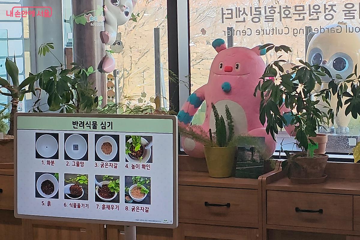 반려식물을 화분에 옯겨심는 과정을 설명하는 그림 ⓒ오도연