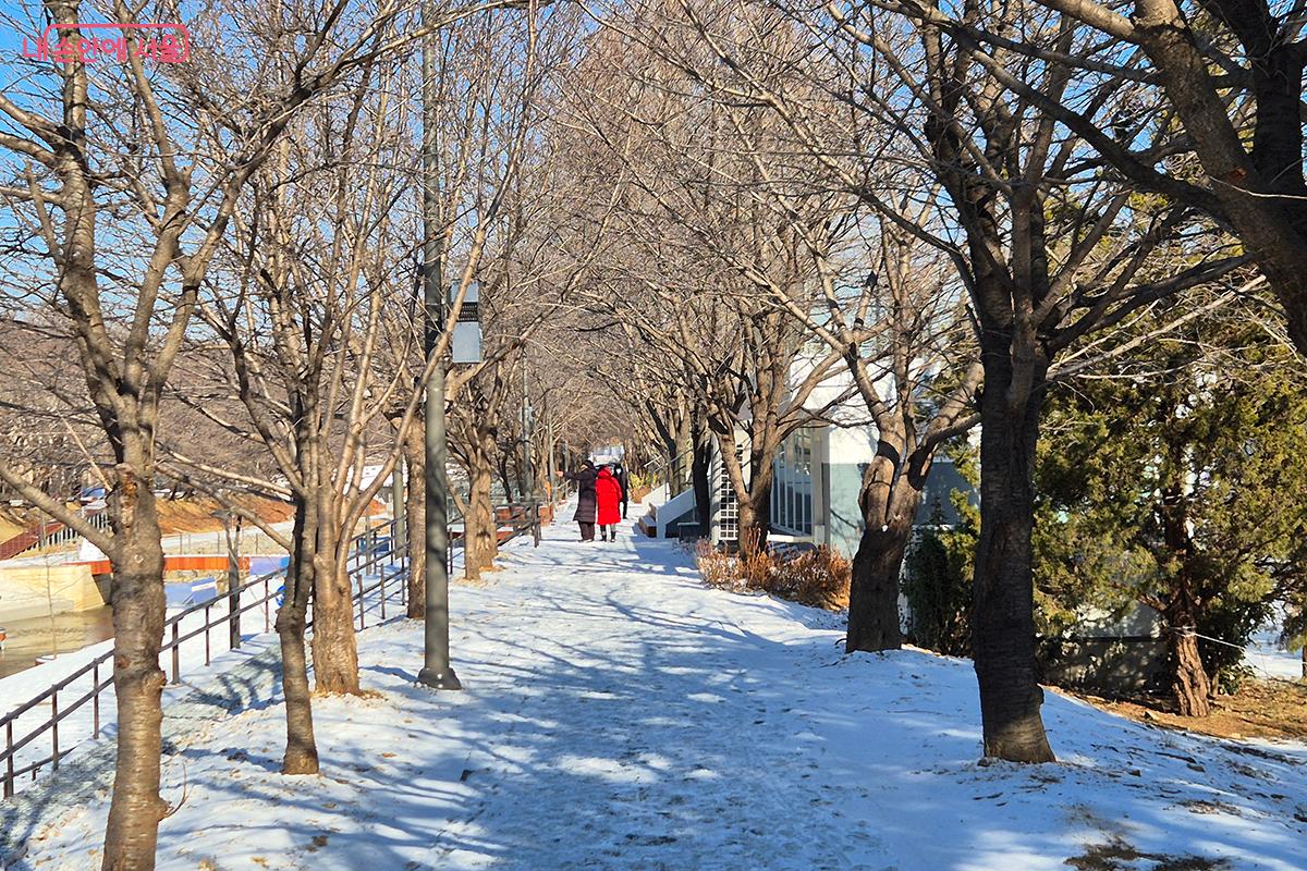 아침까지 내린 눈이 ‘여의천 소원카페’로 이어진 산책로에 소복이 쌓였다. ©이혜숙