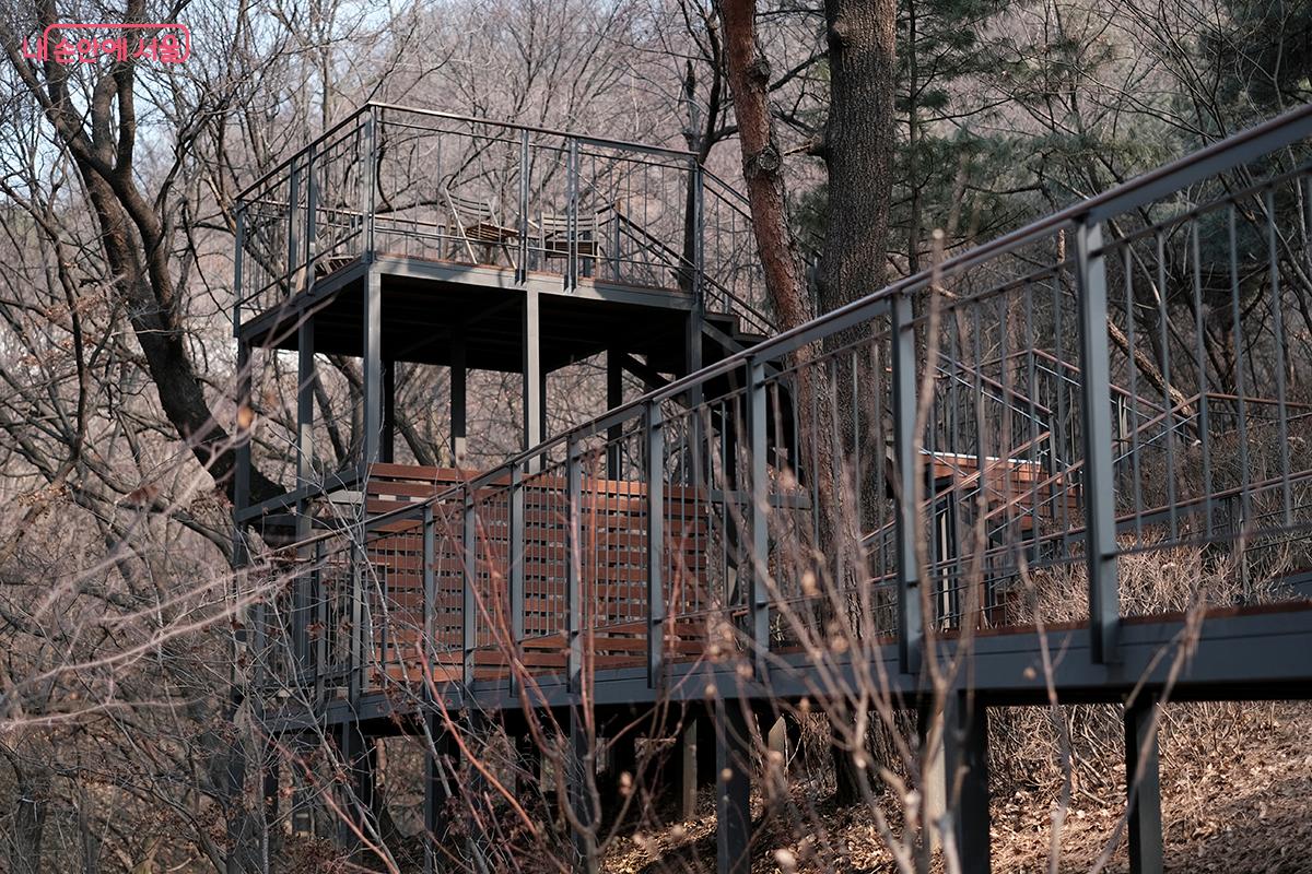 남산 하늘숲길에서 만나는 참나무 전망대 &copy;김아름