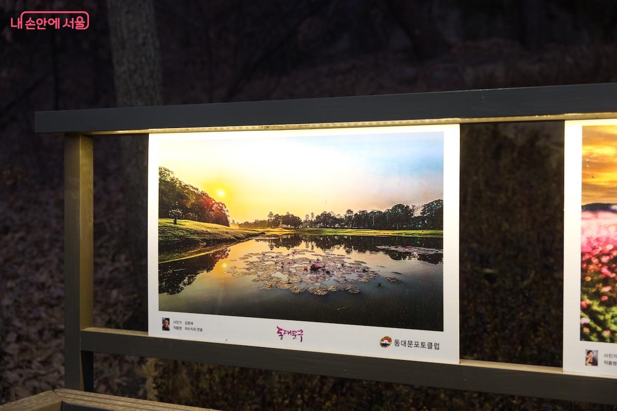 둘레길 곳곳에 동대문구의 사계절을 주제로 한 멋진 사진 전시가 상설로 진행 중이다. &copy;임중빈