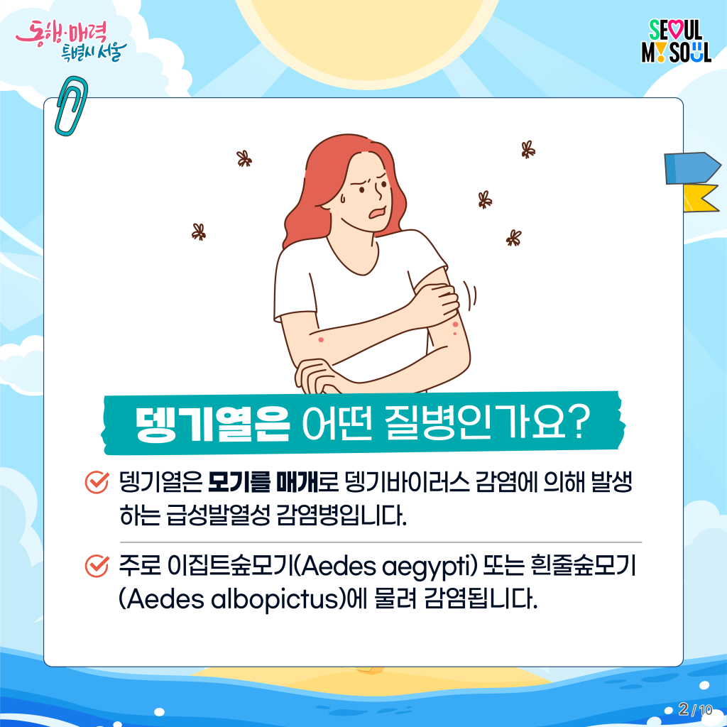 뎅기열은 어떤 질병인가요?
-뎅기열은 모기를 매개로 뎅기바이러스 감염에 의해 발생하는 급성발열성 감염병입니다.
-주로 이집트숲모기(Aedes aegypti) 또는 흰줄숲모기(Aedes albopictus)에 물려 감염됩니다.