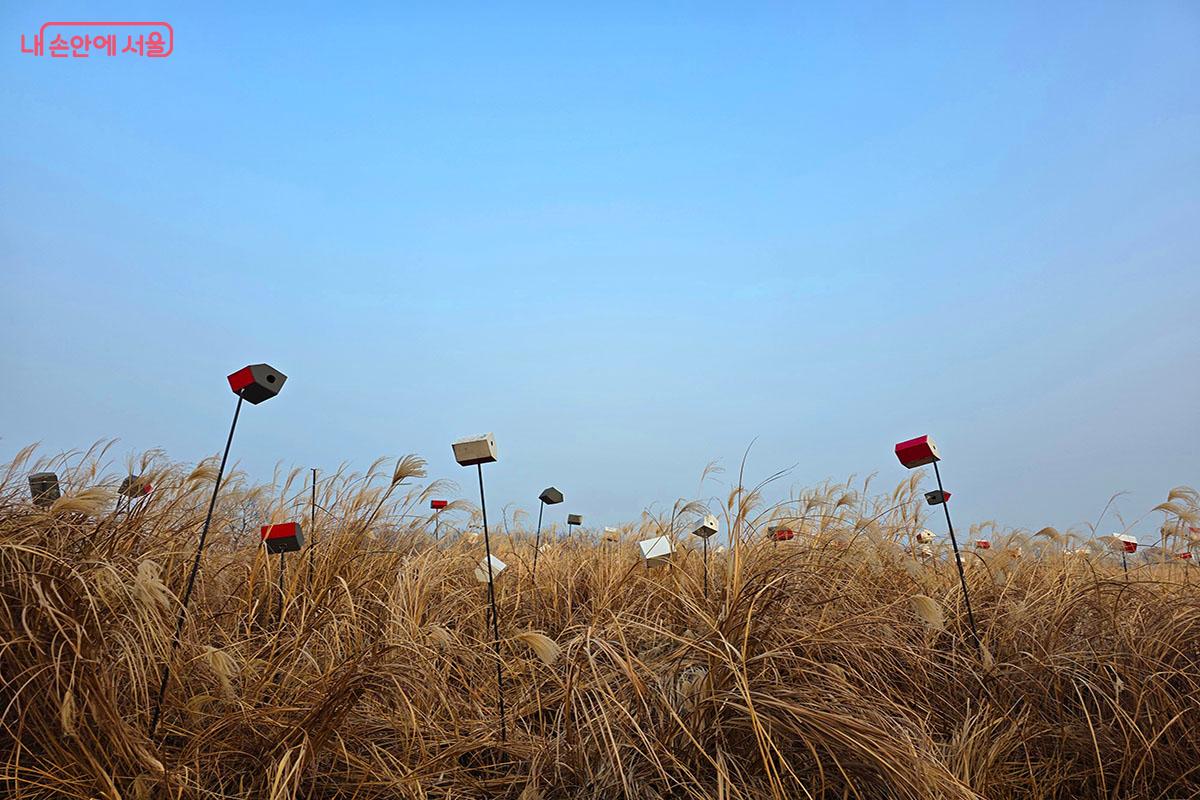 철새들의 둥지가 자리한 억새 풍경은 겨울바람 속에서 더욱 따뜻한 생명의 기운을 전한다. &copy;이정민