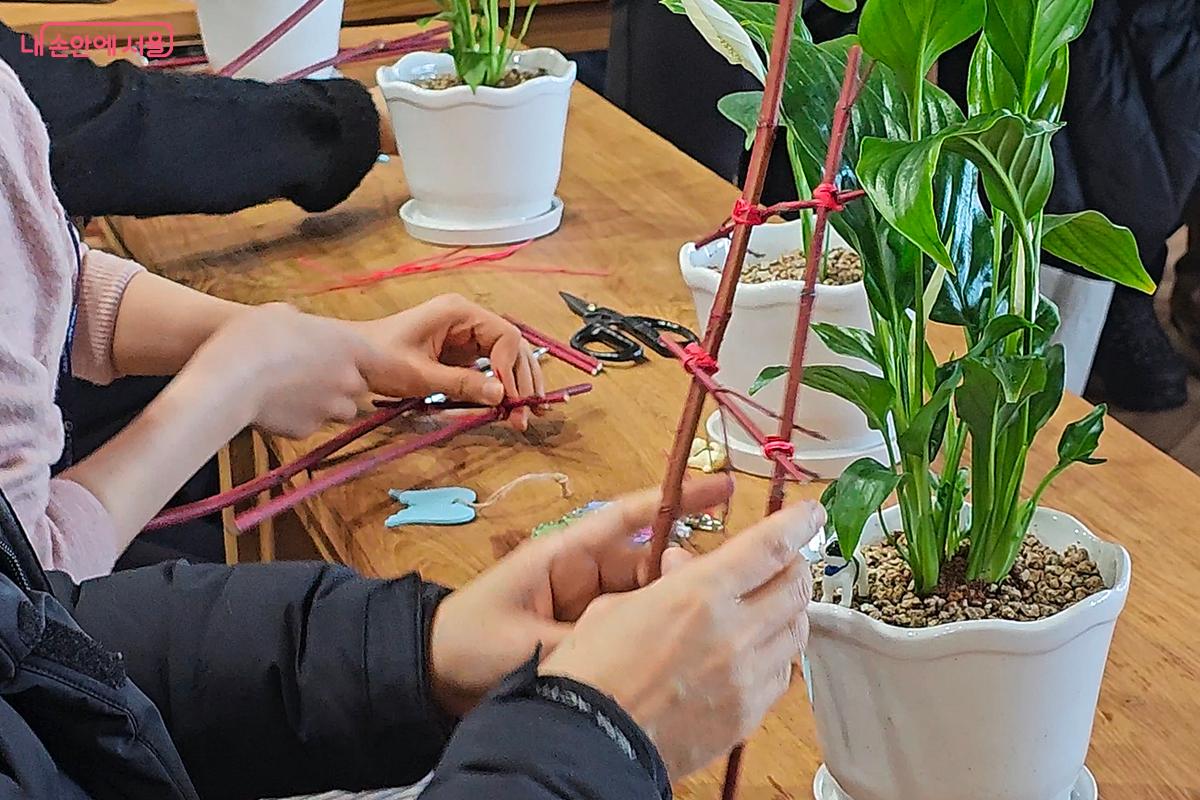 작업의 마지막은 빨간 말채나무로 화분을 장식하는 순서 ⓒ오도연