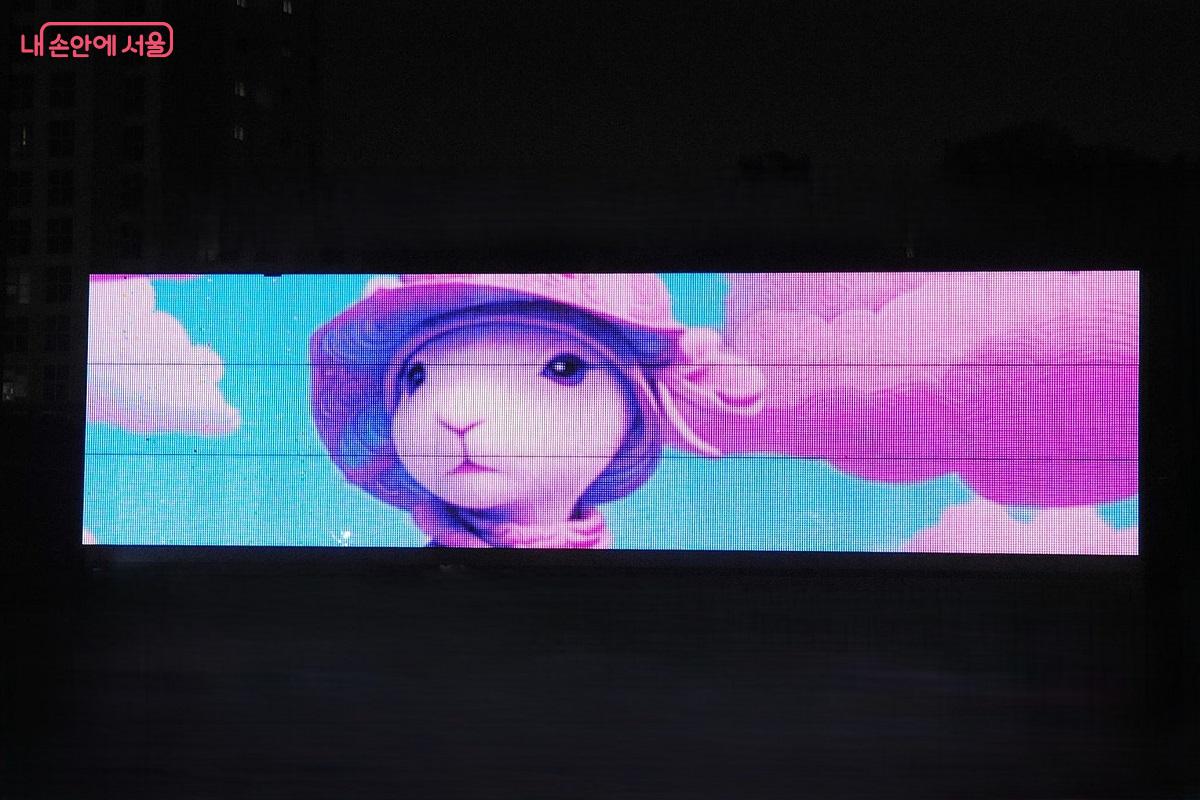 이 작품은 자연의 숨결과 서정적 분위기를 담고 있는 신비로운 숲의 모습을 보여준다. &copy;조수봉