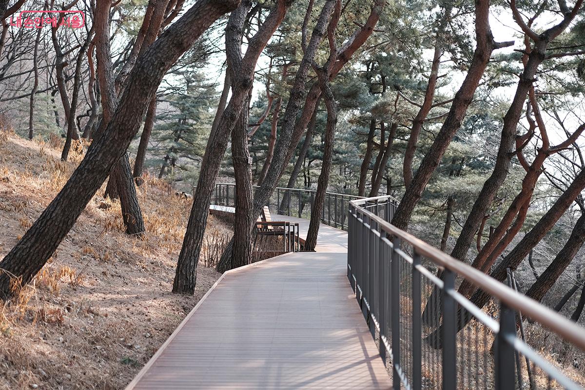 남산 하늘숲길은 단연 남산 정상으로 가는 가장 쉽고 편안한 길이다. &copy;김아름