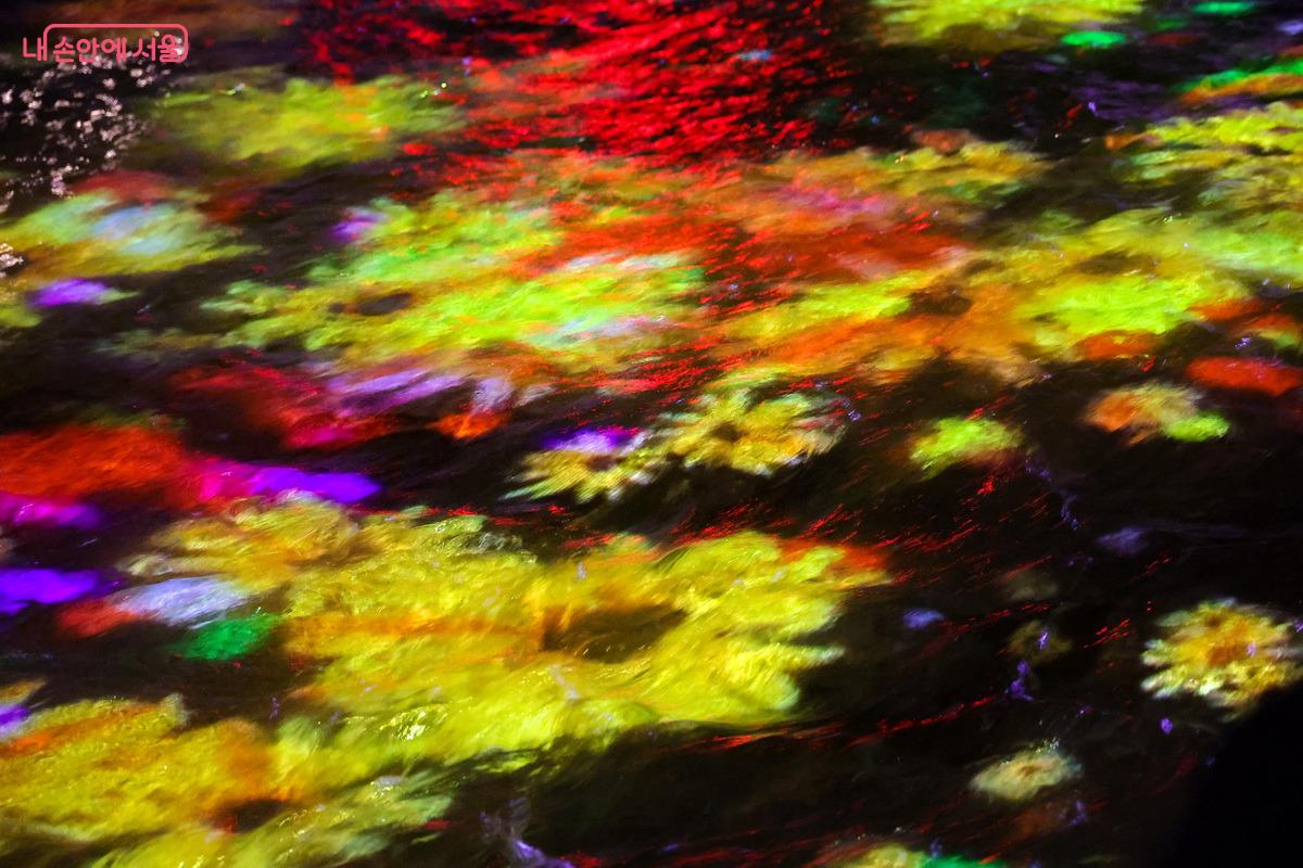 청계천의 밤을 밝히는 &lsquo;청계 소울 오션&rsquo;을 장식한 작품 &lsquo;만개&rsquo; &copy;박성환