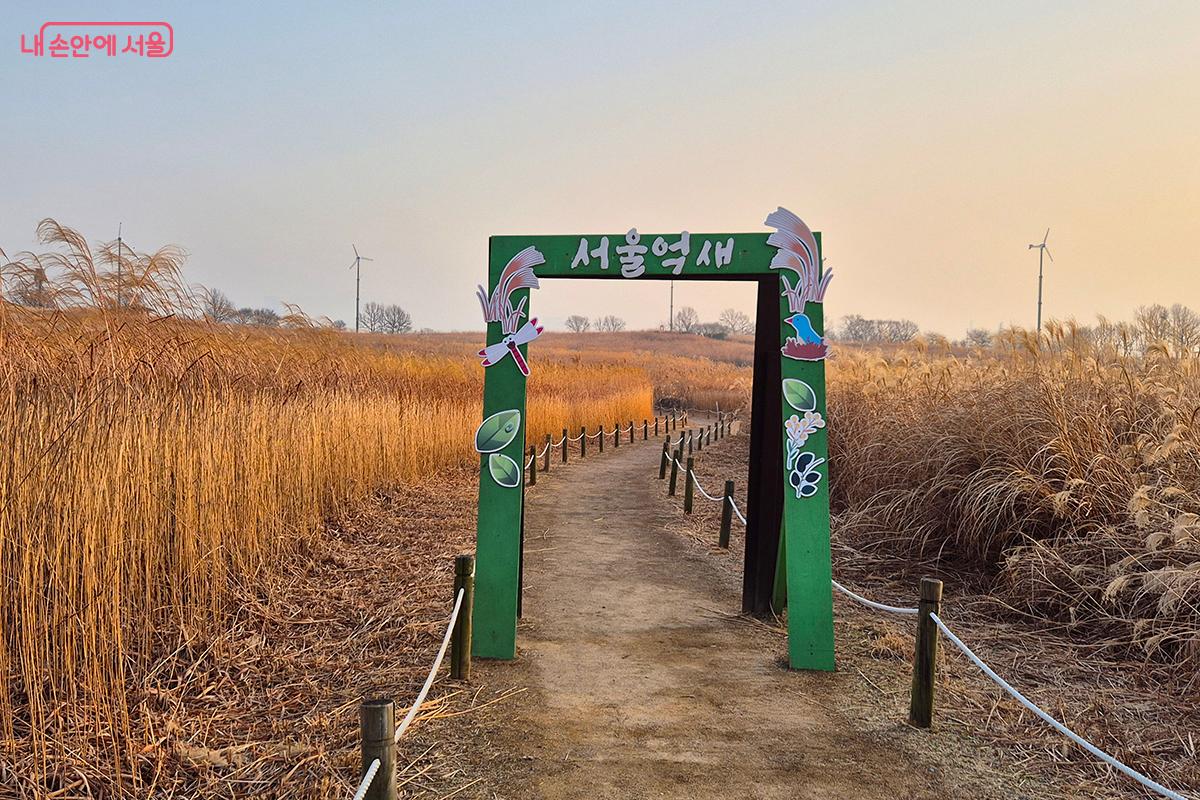 관람객들이 잊지 못할 추억을 남길 수 있는 서울억새 포토존