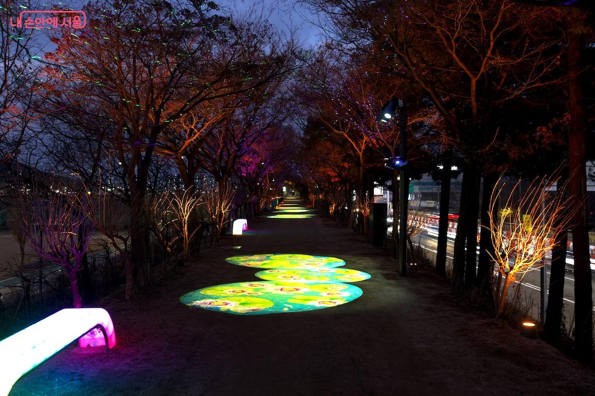 약 150미터 구간의 제방길이 '빛의 산책로'로 변신한 모습 &copy;임중빈