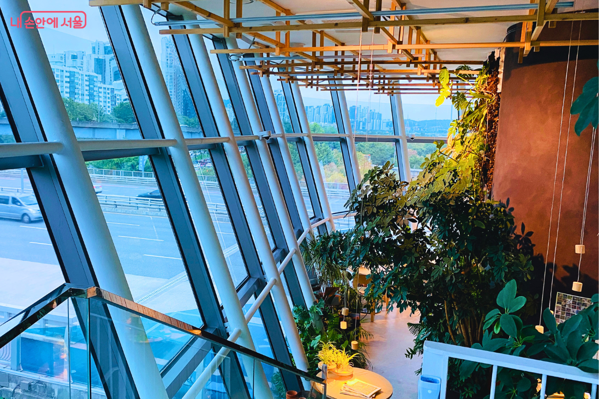 복층 구조인 카페 내부에서 위층 계단 쪽을 통해 아래층을 내려다본 구도이다. 천장의 격자형 나무 구조물과 매달린 조명들이 입체감을 주며, 아래층 공간에 배치된 큰 식물들이 숲속 같은 분위기를 연출한다. &copy;양정화