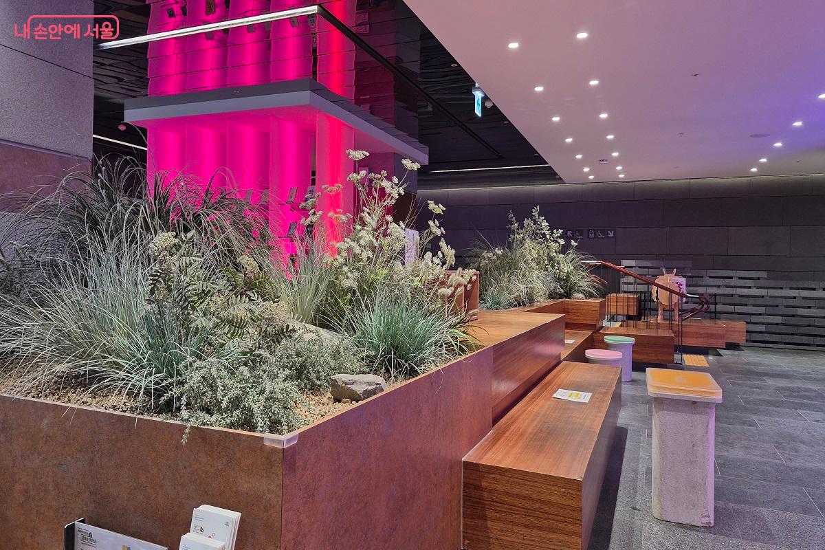 조명과 조경이 잘 어우러진 공간이다. ©권수진