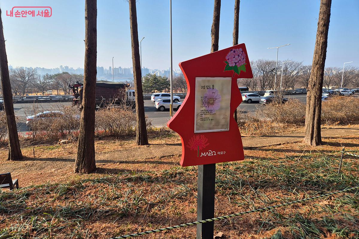 '시인의 거리'란 이름은 꽃과 함께 시도 감상할 수 있게 꾸며 놓아 붙여졌다.