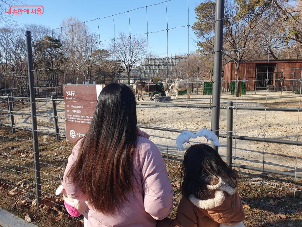 초식동물마을에서 동물들을 관람 중인 가족 &copy;김병규