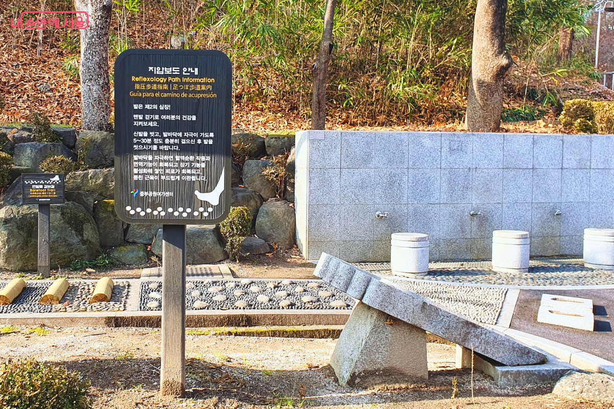 장충단공원 내에 조성된 건강 지압 보도의 전경이다. 화면 중앙에는 '지압보도 안내'라는 제목의 검은색 표지판이 서 있으며, 그 뒤로는 돌벽에 설치된 세족 시설과 앉아서 쉴 수 있는 돌의자들이 보인다. 바닥에는 둥근 자갈과 나무 기둥 등 다양한 재질의 지압 코스가 마련되어 있으며 주변은 울창한 나무들로 둘러싸여 있다. &copy;양정화
